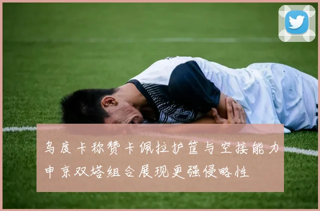 乌度卡称赞卡佩拉护筐与空接能力申京双塔组合展现更强侵略性