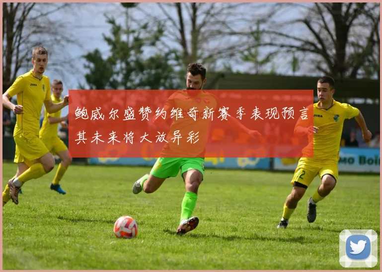 鲍威尔盛赞约维奇新赛季表现预言其未来将大放异彩